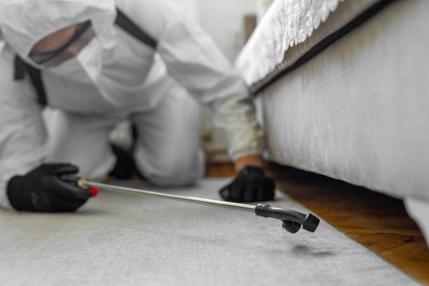 Professional Bed Bug Control technician working in Placitas, NM